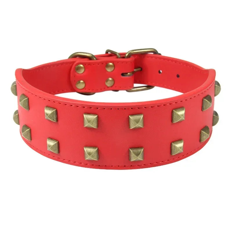 Collier Clouté Large 5cm pour Chien Robuste