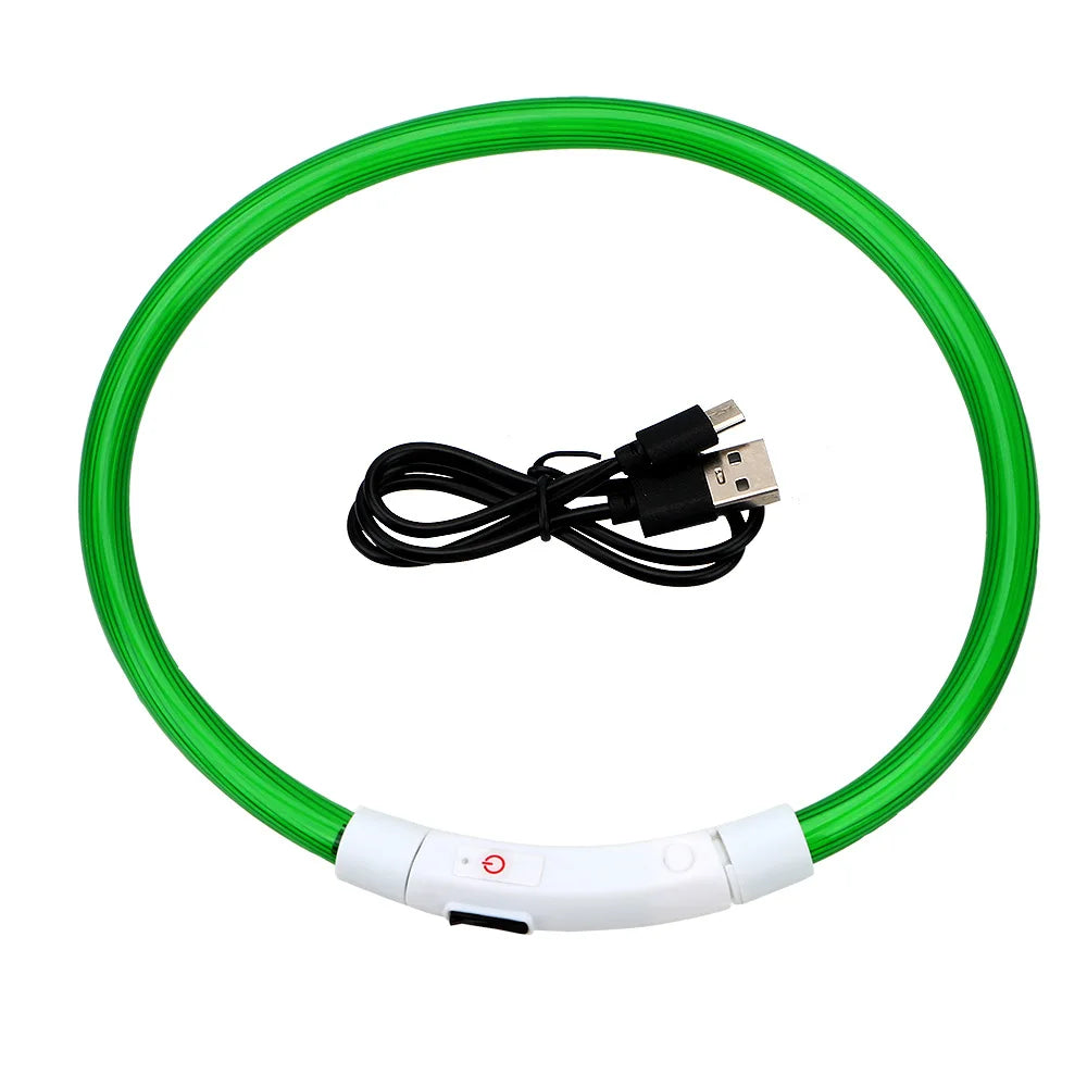 Collier LED USB Rechargeable pour Chien