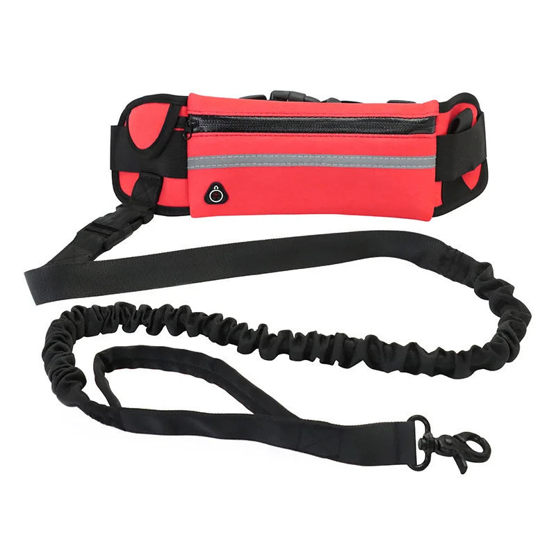 Laisse Mains-Libres avec Ceinture et Poche