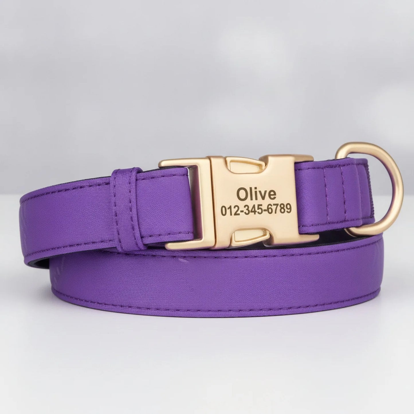 Collier chien nylon imperméable gravé - en situation