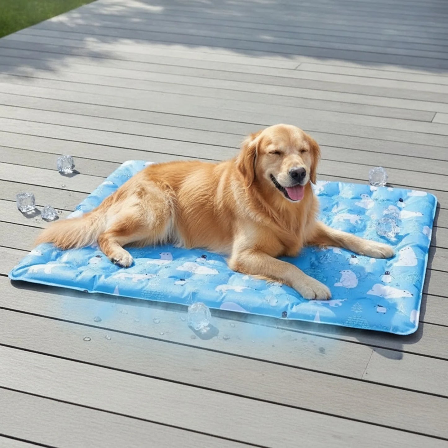 Tapis rafraîchissant pour animaux confort frais - en situation