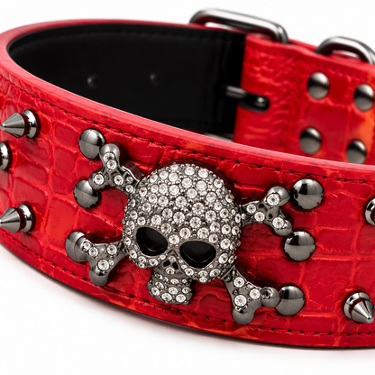 Collier Chien | Robuste et Confortable