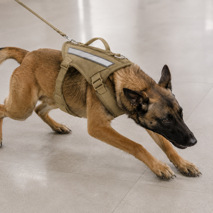 Harnais Tactique Anti-Traction pour Grand Chien