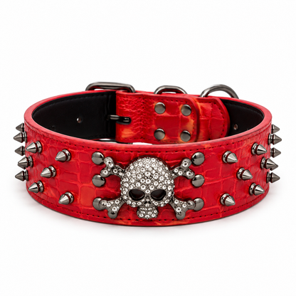 Collier Chien | Robuste et Confortable