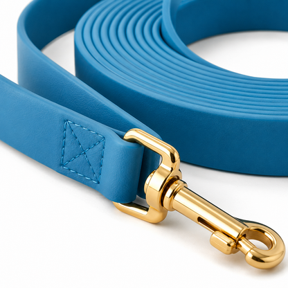 Longe pour Chien | Robuste et Confortable