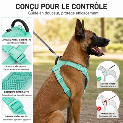 Harnais Anti-Traction Réfléchissant pour Chien