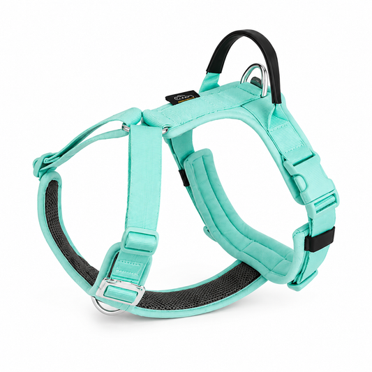 Harnais Anti-Traction Réfléchissant pour Chien