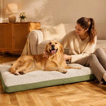 Coussin pour Chien | Confort Ultra