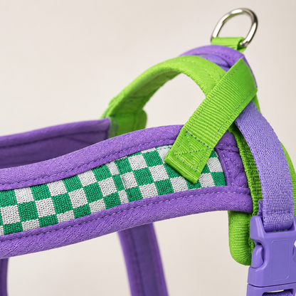 Harnais pour Chien | Confort Premium