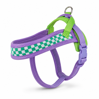 Harnais pour Chien | Confort Premium