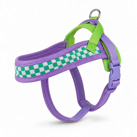 Harnais pour Chien | Confort Premium