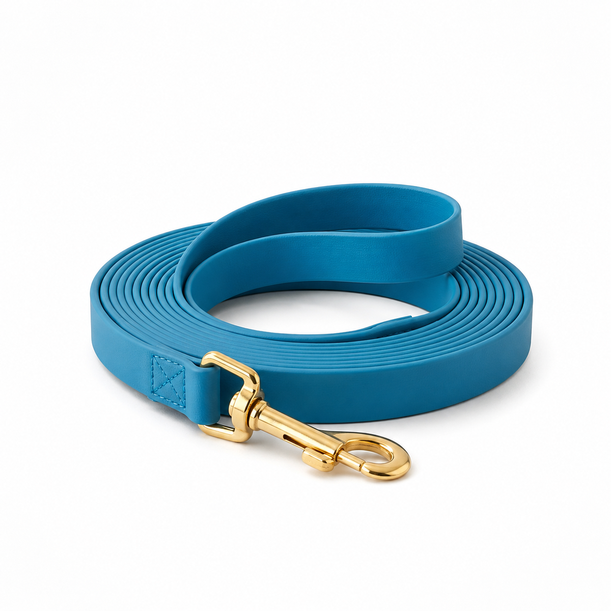 Longe pour Chien | Robuste et Confortable