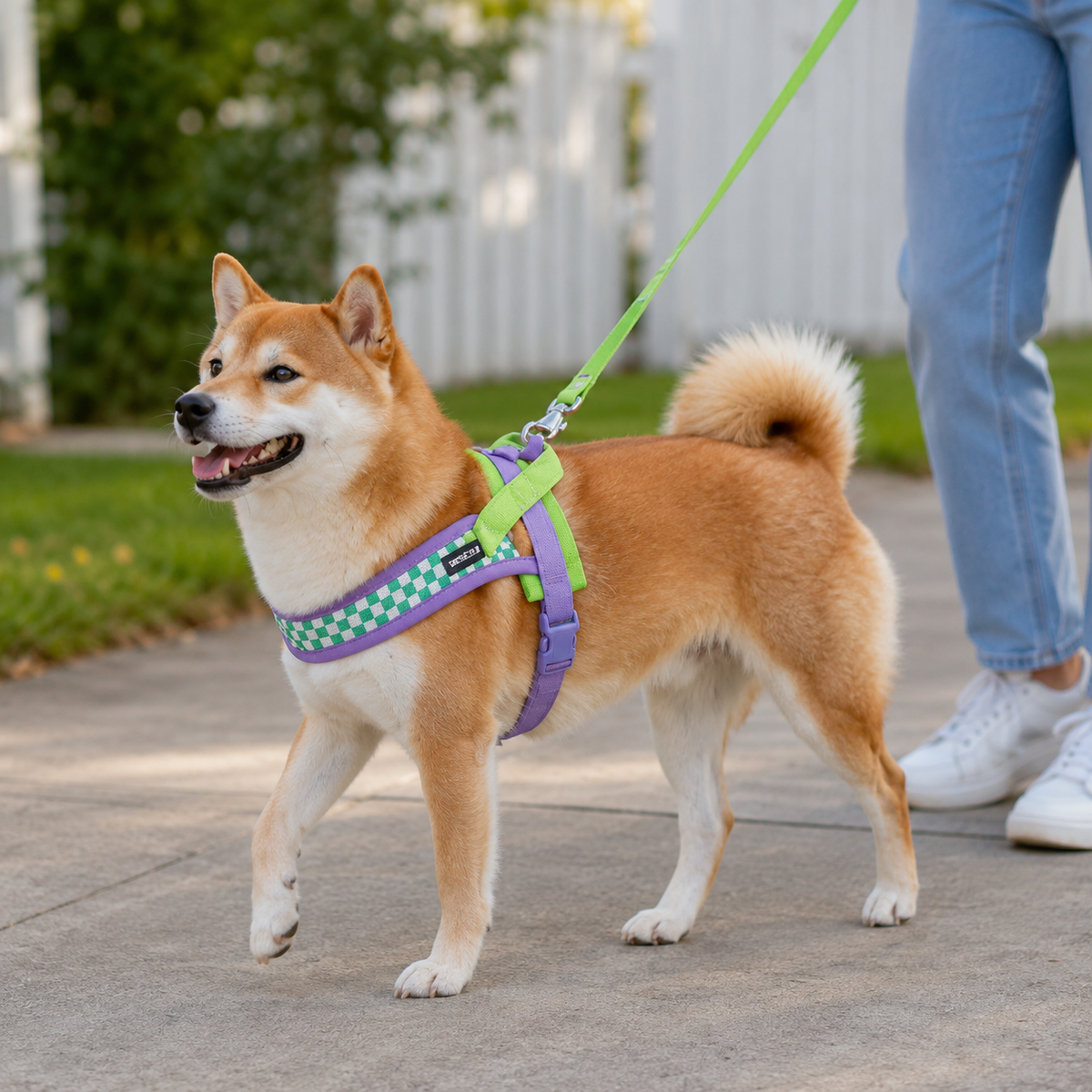 Harnais pour Chien | Confort Premium