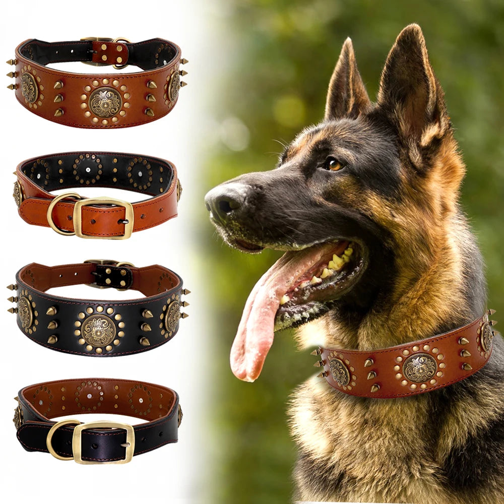Collier Clouté en Cuir pour Chien de Grande Taille