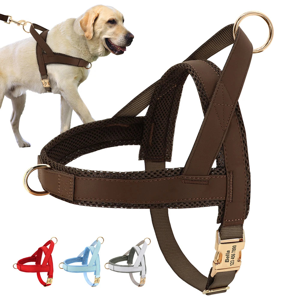 Harnais anti-traction personnalisable pour chien - vue de face