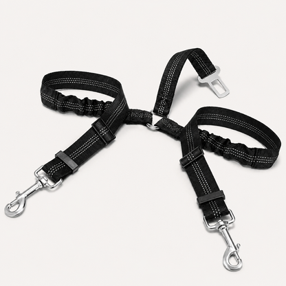 Double Ceinture de Sécurité Élastique pour Chien