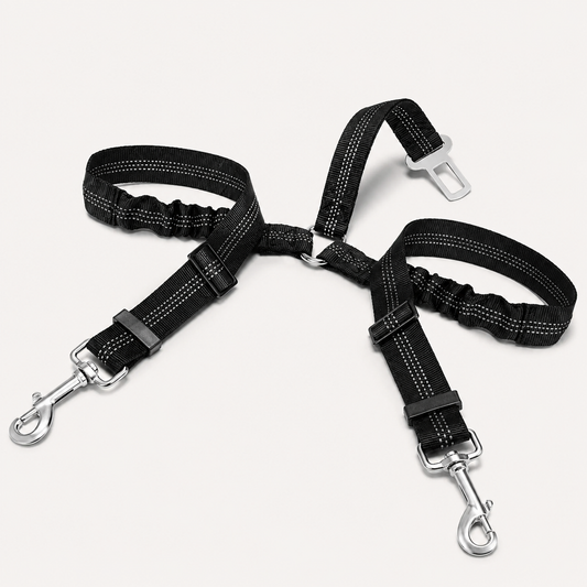 Double Ceinture de Sécurité Élastique pour Chien