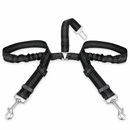 Double Ceinture de Sécurité Élastique pour Chien