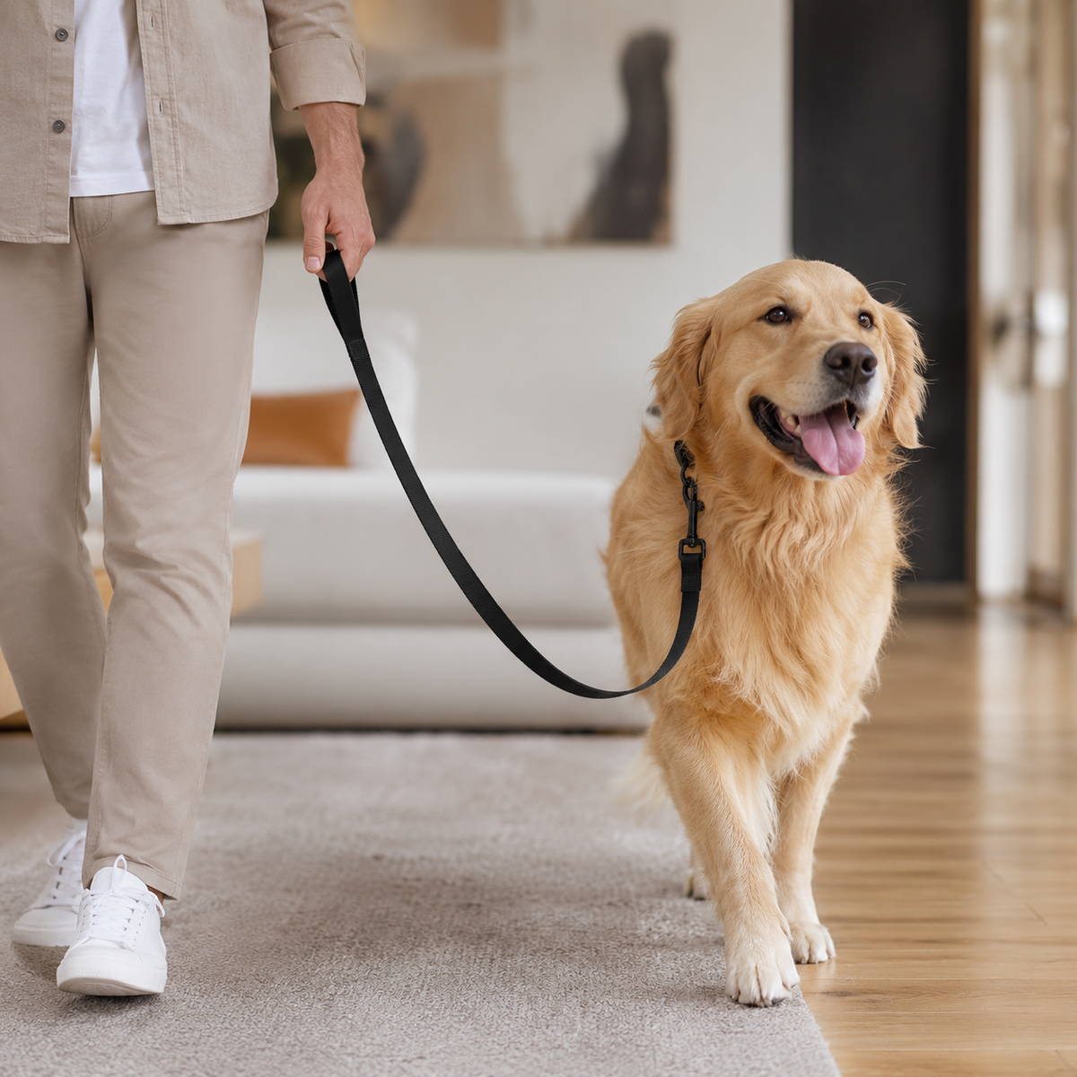Longe d'Éducation 5 à 15m pour Chien