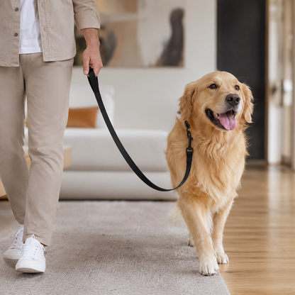Longe d'Éducation 5 à 15m pour Chien