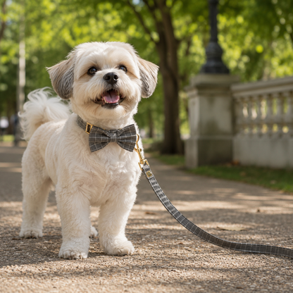 Collier Écossais avec Nœud Papillon pour Chien