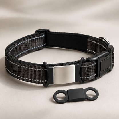 Collier Personnalisé Rembourré Réfléchissant Gravure Offerte