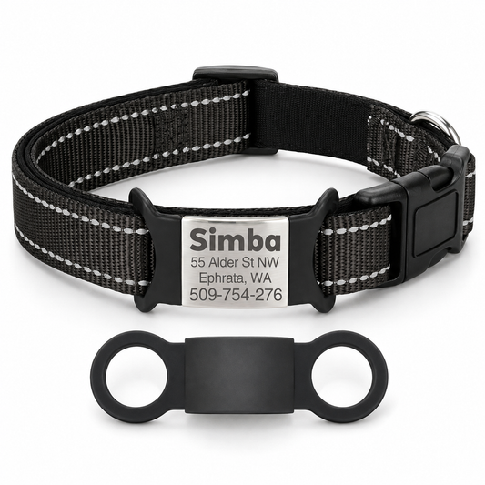 Collier Personnalisé Rembourré Réfléchissant Gravure Offerte