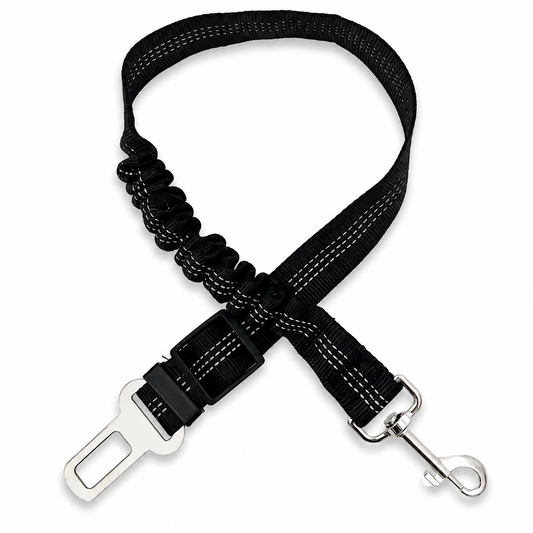 Ceinture de Sécurité Amortie Réfléchissante pour Chien
