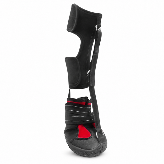 Bottes Antidérapantes Respirantes pour Chien