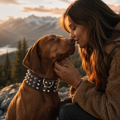 Collier Clouté Large Cuir Véritable pour Grand Chien