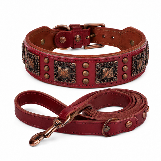 Ensemble Collier et Laisse Cuir Véritable Rivets Métal