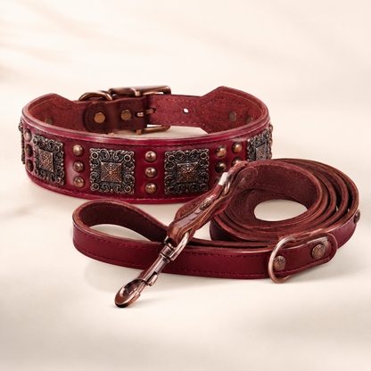 Ensemble Collier et Laisse Cuir Véritable Rivets Métal