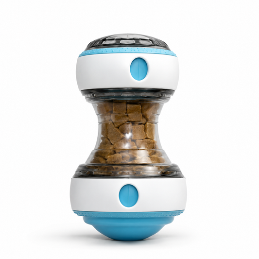 Balle Distributrice de Friandises pour Chien