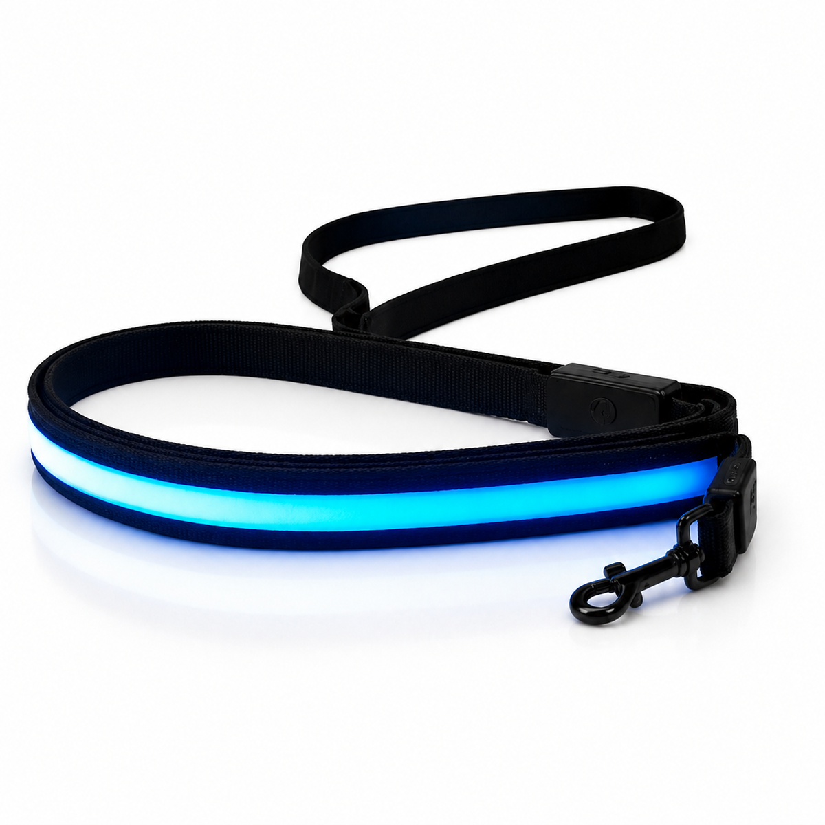 Laisse Lumineuse LED Rechargeable USB pour Chien