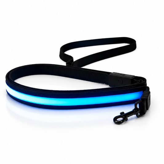 Laisse Lumineuse LED Rechargeable USB pour Chien