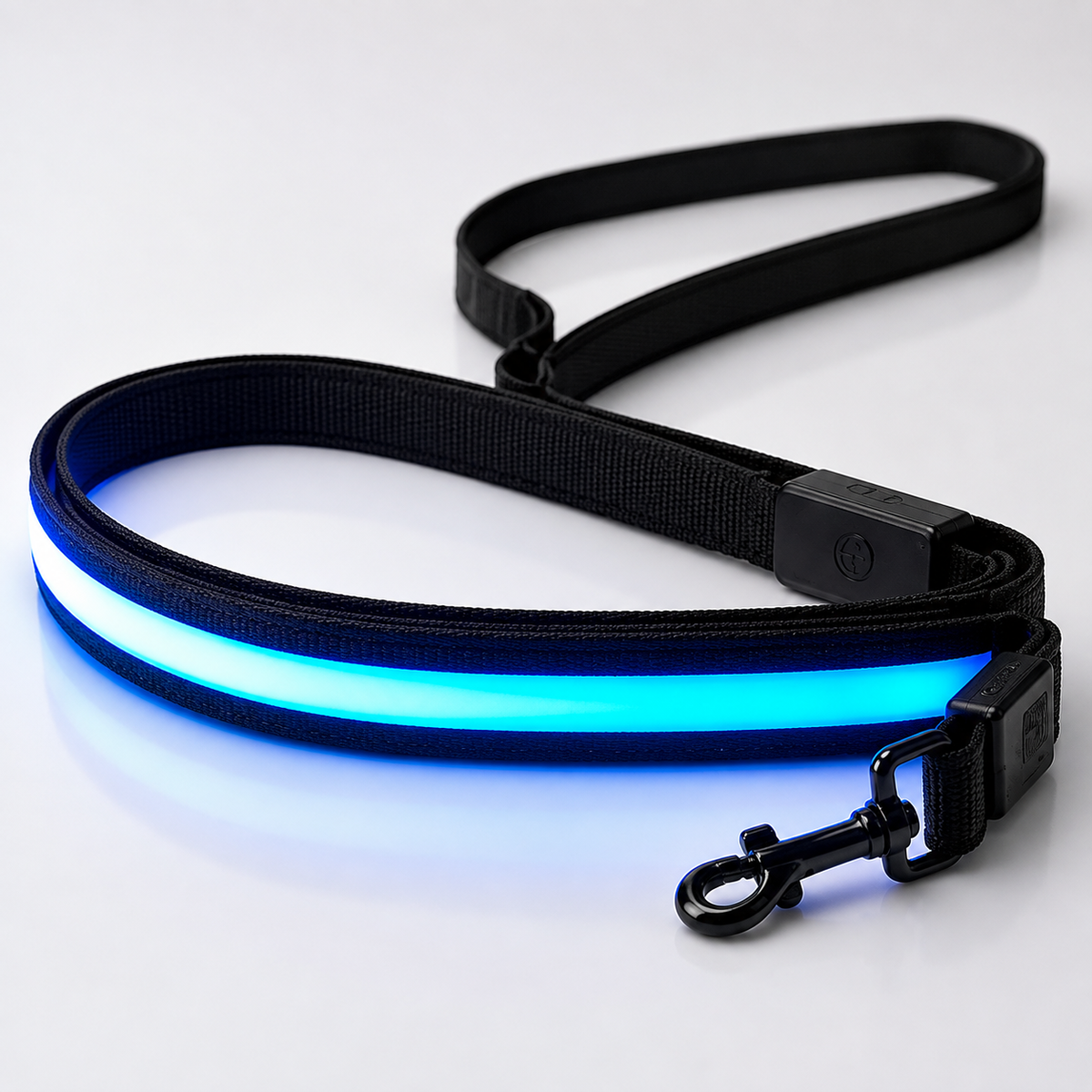 Laisse Lumineuse LED Rechargeable USB pour Chien