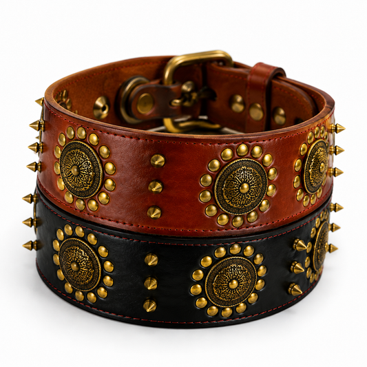 Collier Cuir Véritable Clouté 5cm pour Chien