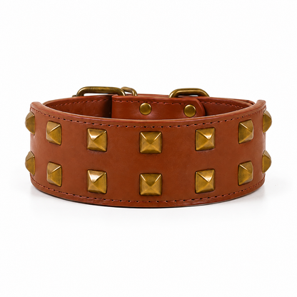 Collier Clouté Large 5cm pour Chien Robuste