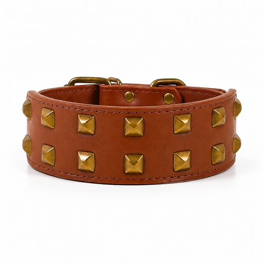Collier Clouté Large 5cm pour Chien Robuste