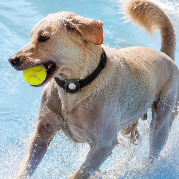 Étui Étanche pour Traceur Bluetooth Collier Chien et Chat