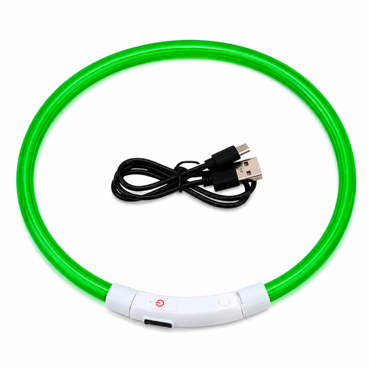 Collier LED USB Rechargeable pour Chien