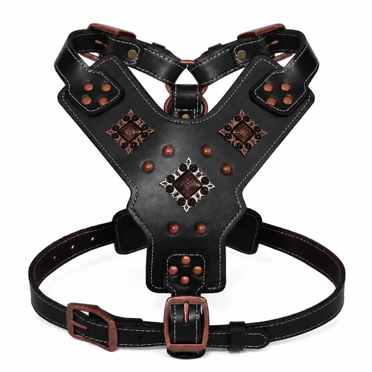 Harnais en Cuir Véritable pour Grand Chien