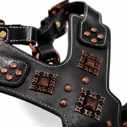 Harnais en Cuir Véritable pour Grand Chien