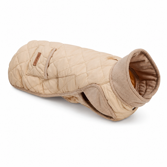 Manteau Matelassé pour Teckel