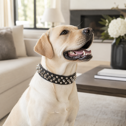 Collier Large Style Clouté pour Grand Chien