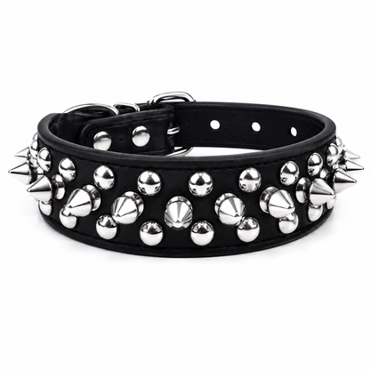 Collier Clouté avec Laisse pour Chien