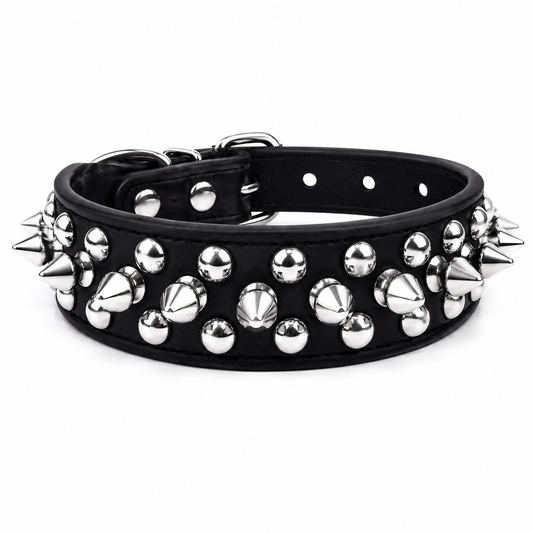Collier Clouté avec Laisse pour Chien