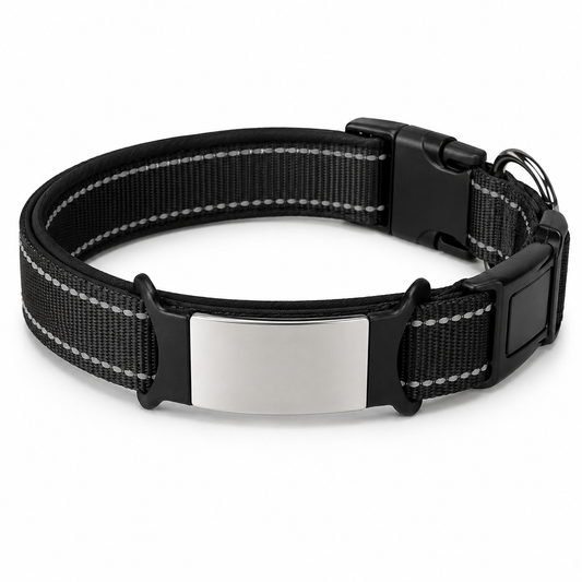 Collier Réfléchissant Personnalisé et Rembourré