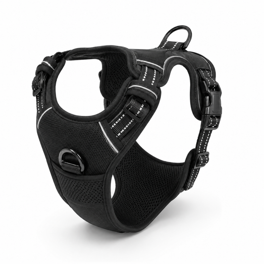 Ensemble Harnais Collier et Laisse Cuir pour Chien