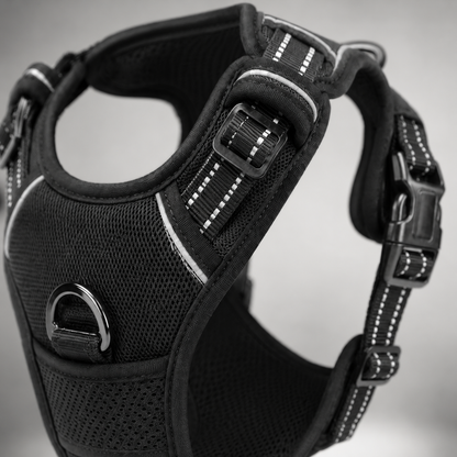 Ensemble Harnais Collier et Laisse Cuir pour Chien